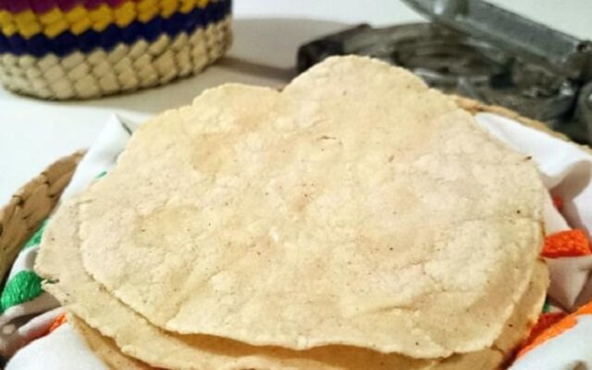 Receta de Tortillas de maíz para tacos