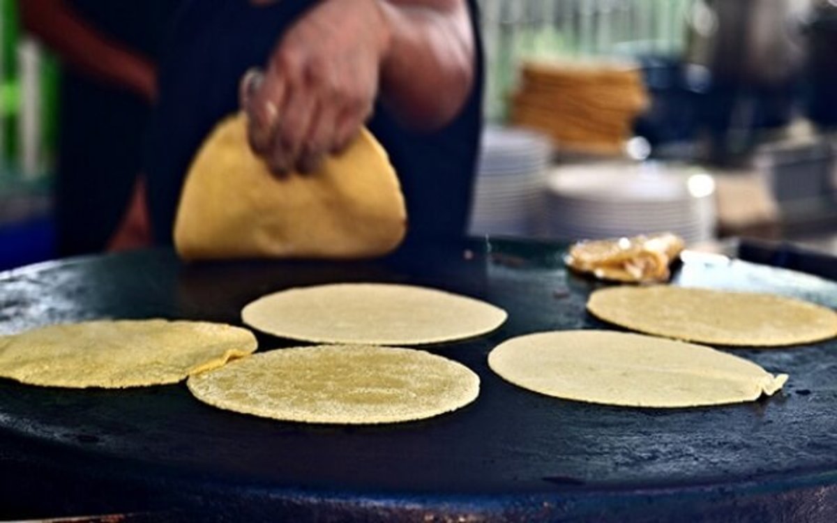 Receta de Tortillas de maíz para tacos